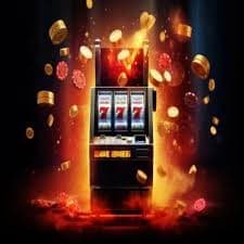 winxx bet winxx bet